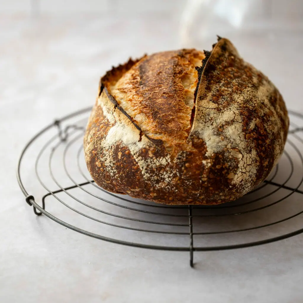 Brot backen auf dem Pizzastahl 4 Sauerteigbrot vom Pizzastahl - Brot backen auf dem Pizzastahl